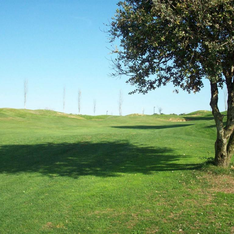 Eine weite, grüne Landschaft mit sanften Hügeln und einem großen Baum im Vordergrund.