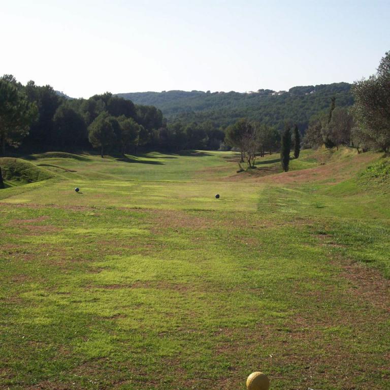 Eine weite Grünfläche eines Golfplatzes mit sichtbaren Bäumen im Hintergrund und einem Golfball im Vordergrund.