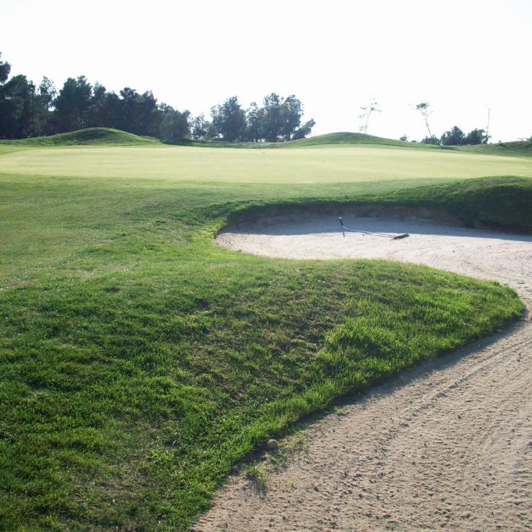 Eine Golfbühne mit Sandbunker im Vordergrund, umgeben von grünem Gras und Bäumen.