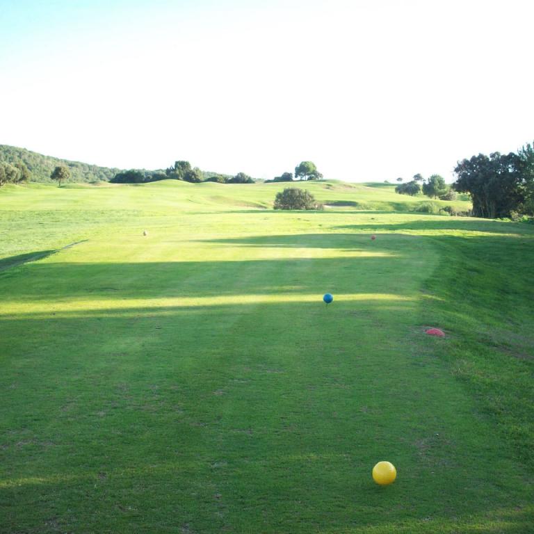 Weitläufiger Golfplatz auf einem sonnigen Tag mit grünem Rasen und Bäumen im Hintergrund.