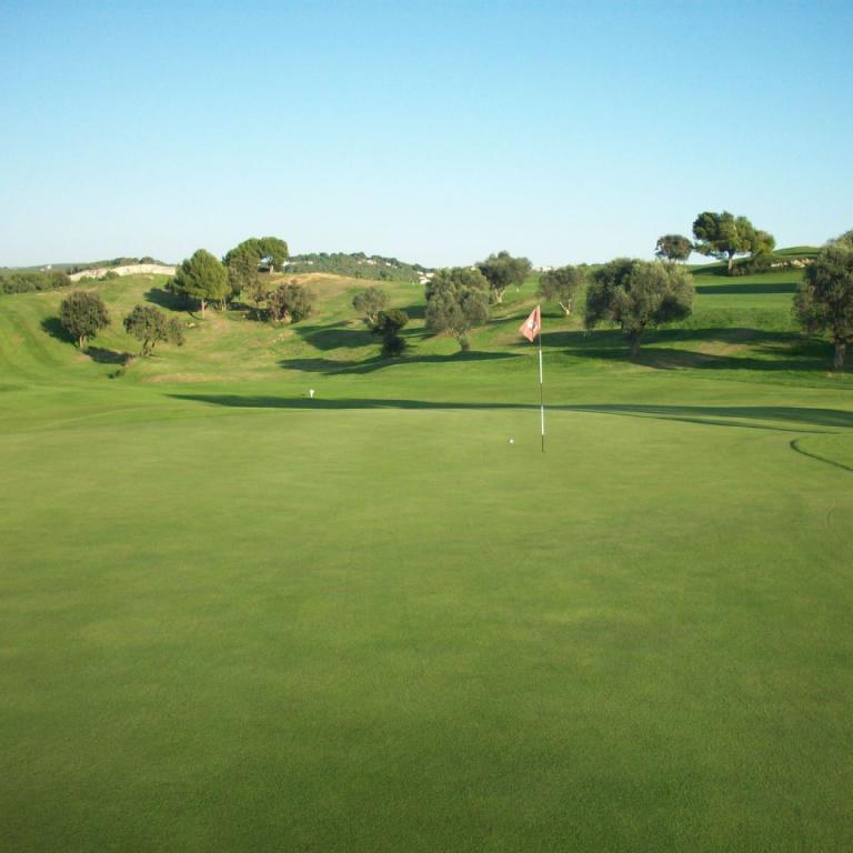 Weitläufiger Blick auf einen gepflegten Golfplatz mit Bäumen und blauem Himmel.