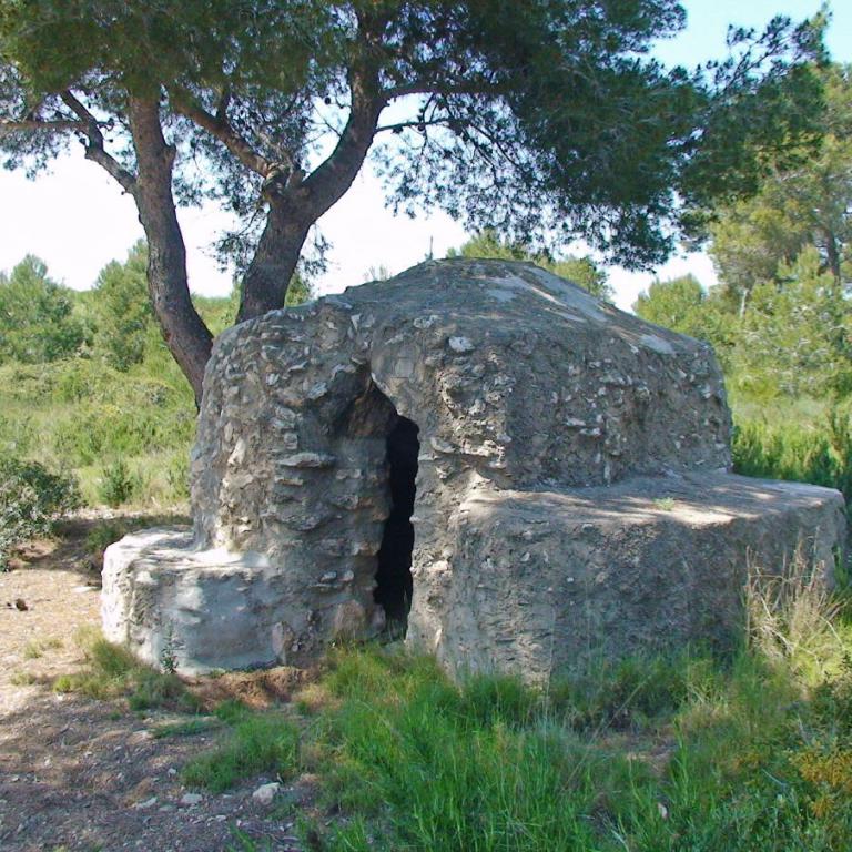 Alte Steinstrukturen inmitten einer bewaldeten Naturlandschaft