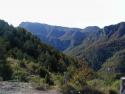 Panoramablick auf eine dichte, bewaldete Bergkette.