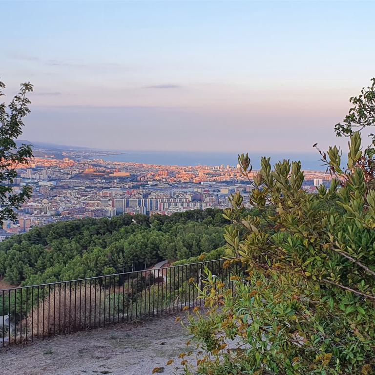 Panoramablick von einem Hügel über eine grüne Waldlandschaft, eine ausgedehnte Stadt und das Meer bei Dämmerung.