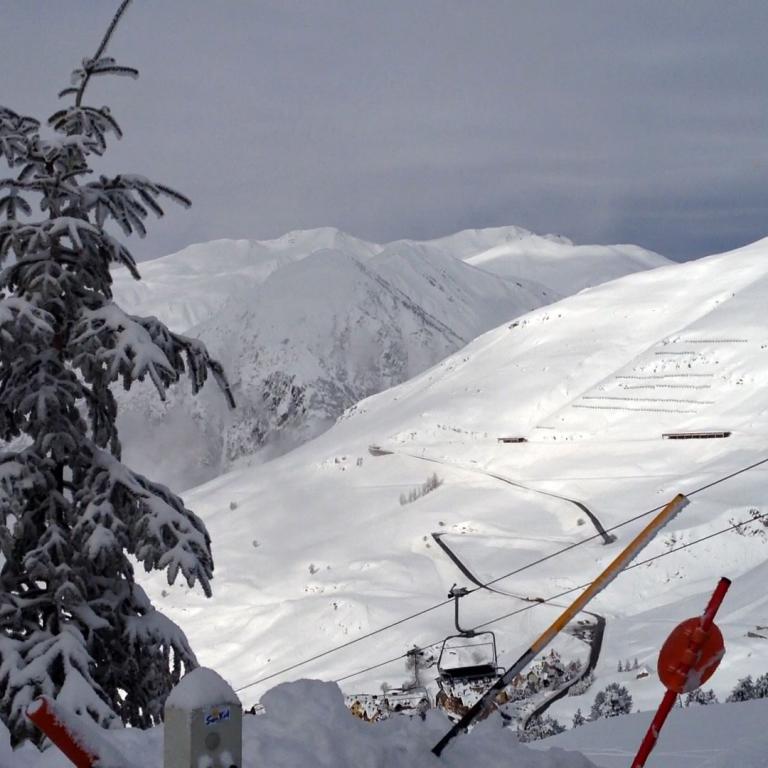 Ein großer, schneebedeckter Tannenbaum dominiert den Vordergrund vor einem Panorama von verschneiten Berghängen und Skiliften.