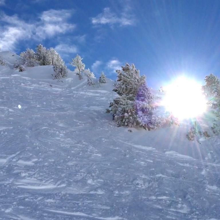 Weite Aufnahme einer verschneiten Berglandschaft mit Nadelbäumen und starkem Sonnenschein.