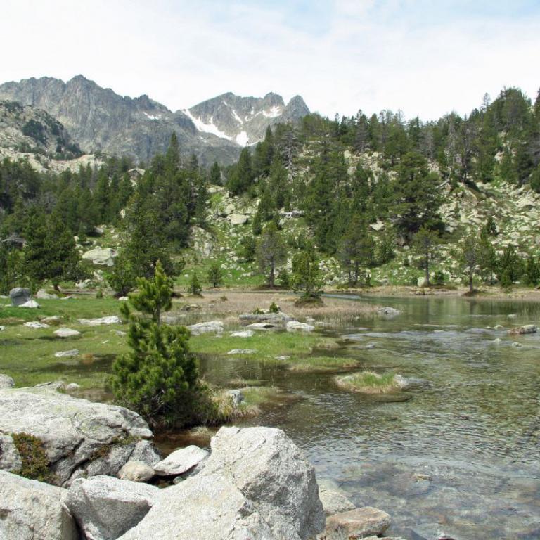 Ein klares Flussbett fließt durch eine bewaldete Berglandschaft, mit großen Felsen im Vordergrund.