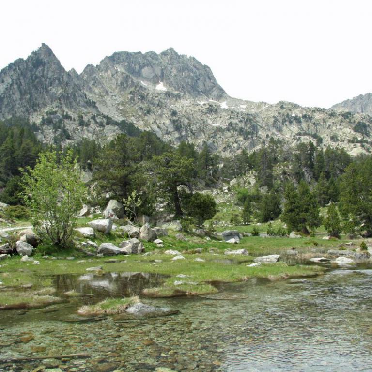 Ein klares Fließgewässer durchquert ein Tal, das von grüner Vegetation und majestätischen, bewaldeten Berghängen umgeben ist.