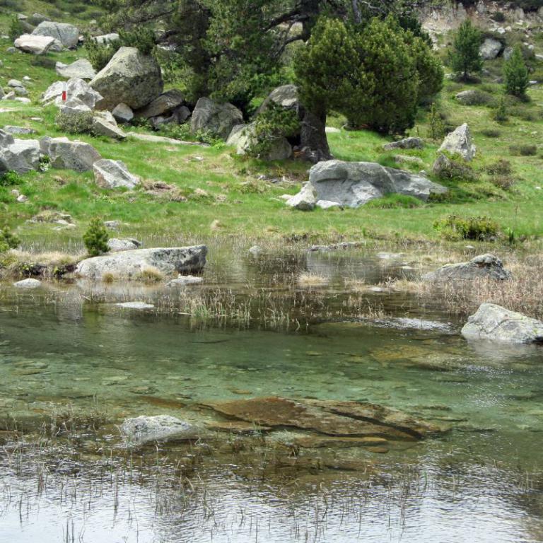 Ein ruhiger See mit felsigem Ufer und grünem Hang im Hintergrund.