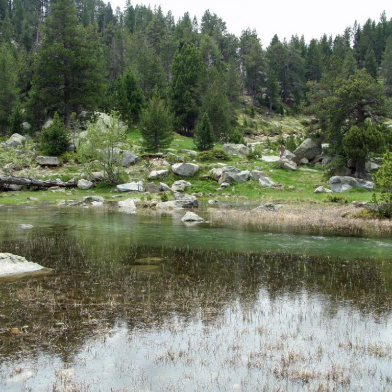 Ein breiter Fluss fließt durch eine bewaldete, bergige Landschaft.