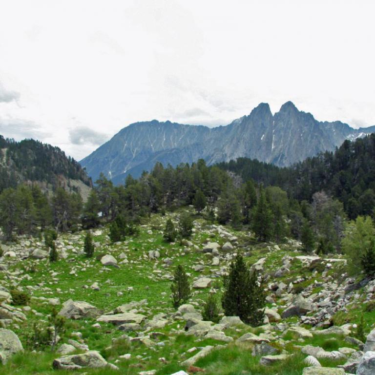 Ein weites Bergpanorama mit felsigem Vordergrund, bewaldetem Tal und einem markanten Gebirgszug unter bewölktem Himmel.