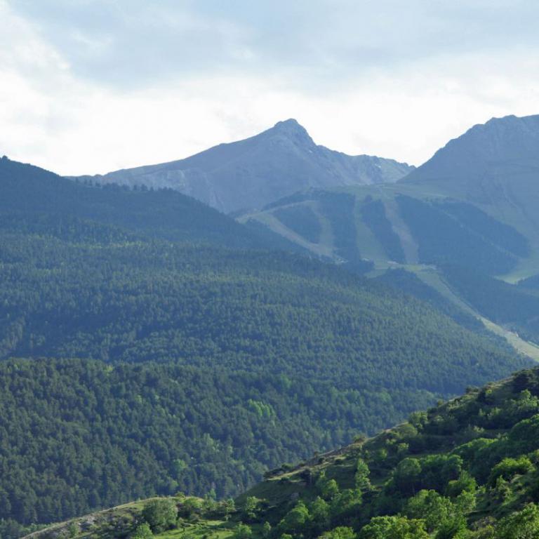 Panoramaaufnahme einer bewaldeten Berglandschaft mit sichtbarem markantem Gipfel im Hintergrund.