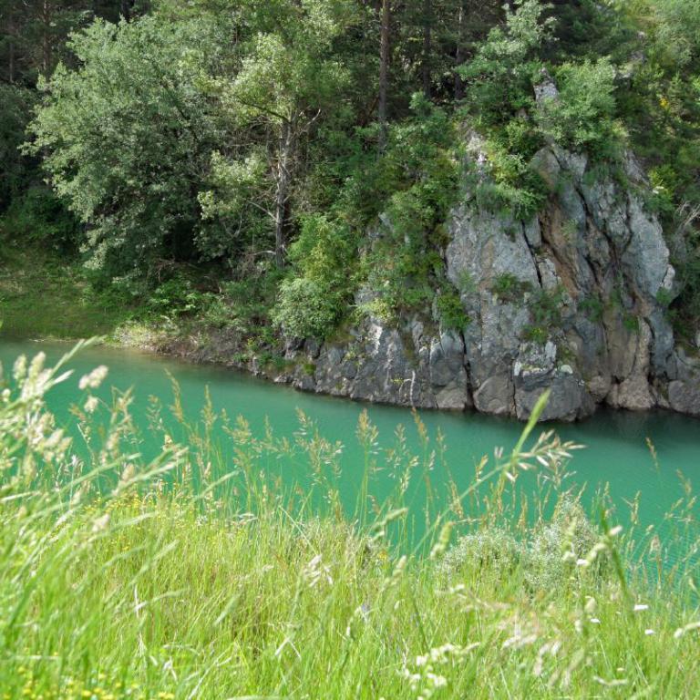 Eine malerische Ansicht eines Gewässers mit steilem, felsigem Ufer, das von dichtem Wald und Gräsern umgeben ist.