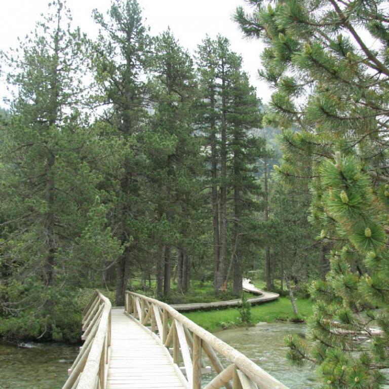 Eine hölzerne Fußgängerbrücke führt durch einen Wald über einen Fluss.