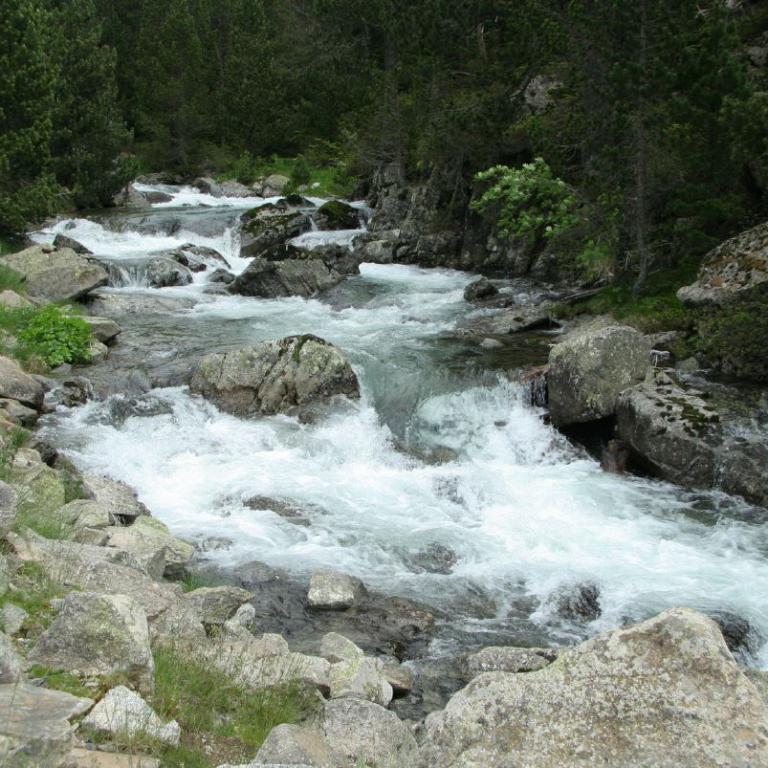 Ein schneller, rauschender Fluss fließt über Felsen durch eine Waldlandschaft.