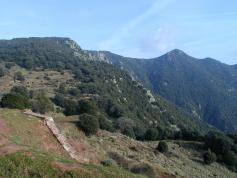 Berglandschaft mit dichtem Wald und einem Wanderpfad im Vordergrund