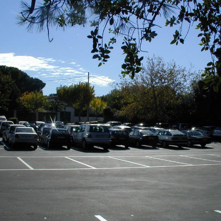Ein sonniger Parkplatz mit vielen geparkten Autos, umgeben von Bäumen und Grünpflanzen unter blauem Himmel.