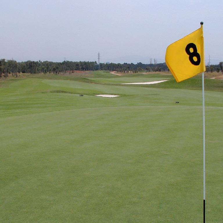 Grüner Golfplatz mit Fahnenmarkierung für das Loch 8 im Hintergrund.
