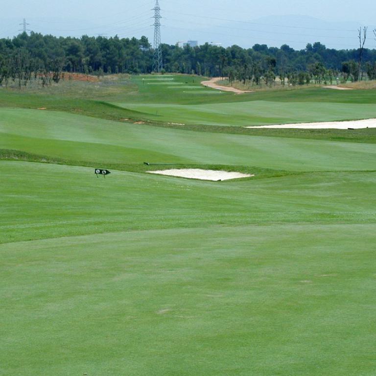 Eine weite Aufnahme eines Golfplatzes mit grünem Rasen, Sandbunkern und Bäumen im Hintergrund.