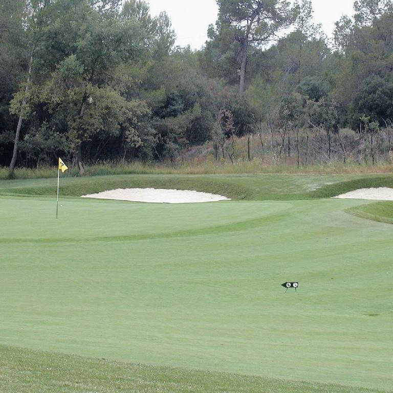 Ein weitläufiger Golfplatz mit grünem Fairway, einem Flaggenmast und einem dichten Waldhintergrund.