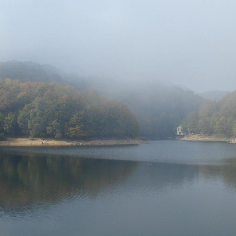 Ein ruhiger See, umgeben von nebligen, bewaldeten Hügeln.