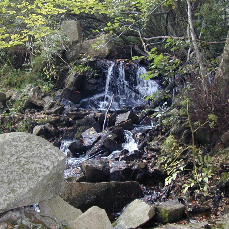 Ein kleiner Wasserfall stürzt über mehrere große Felsen in einem bewaldeten Bachlauf.